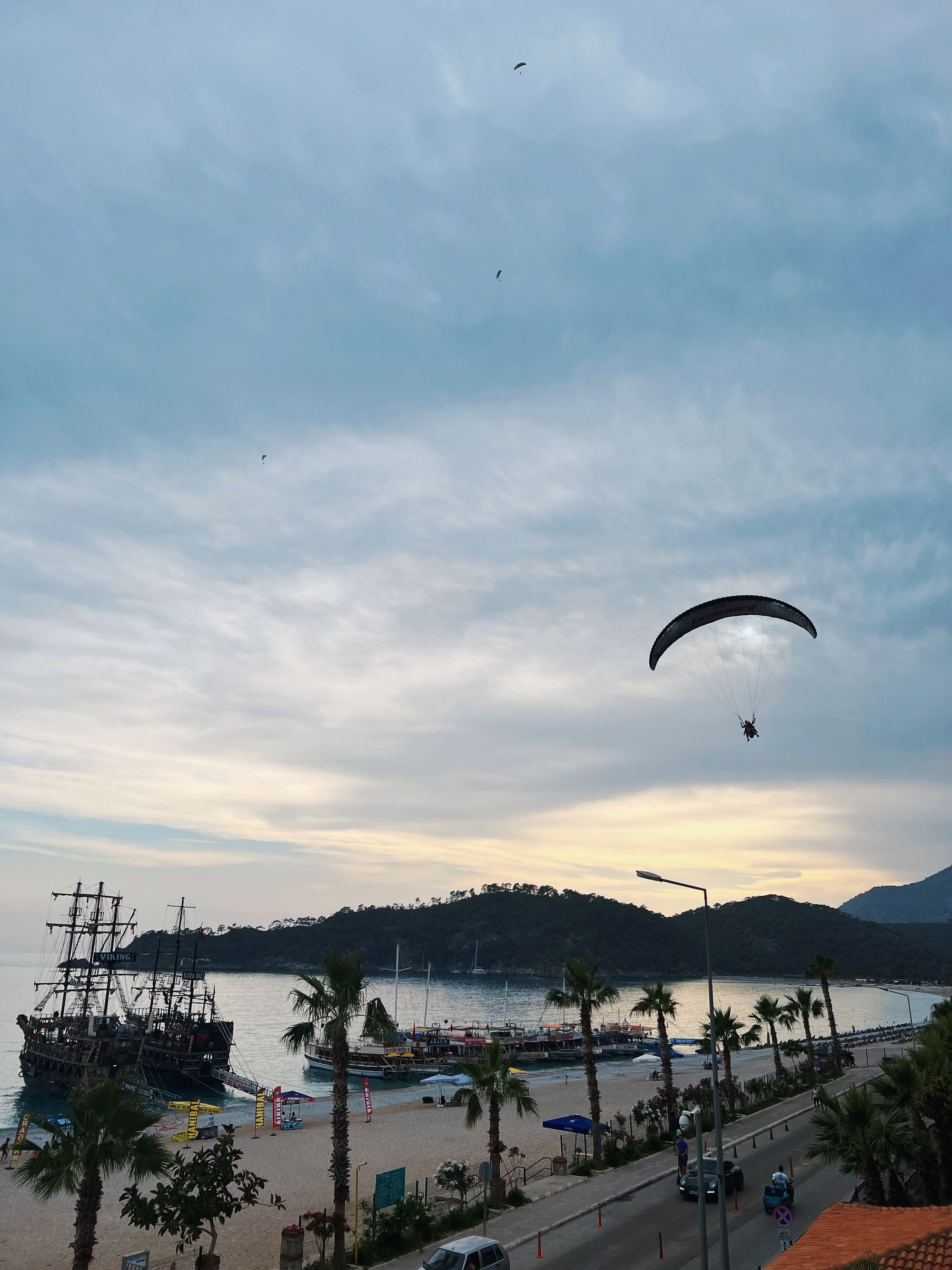 Pigs and Paragliding