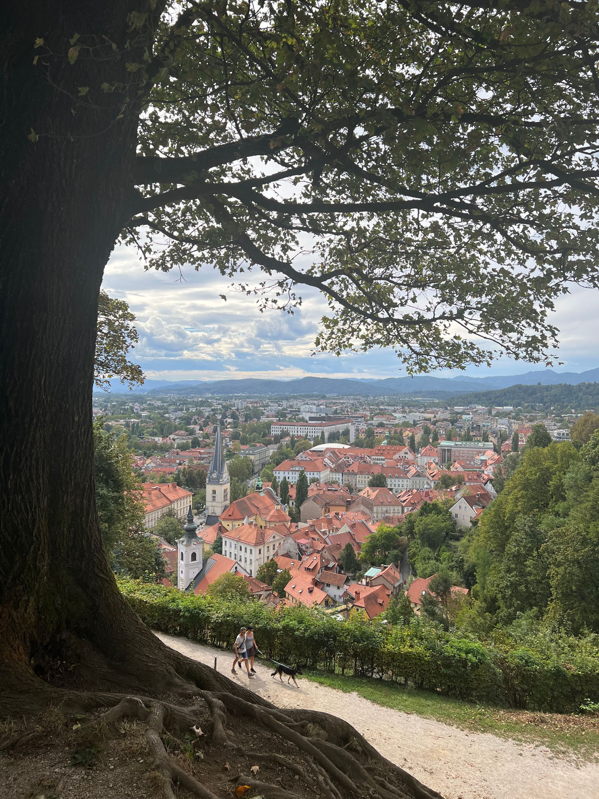 An Estonian in Slovenia