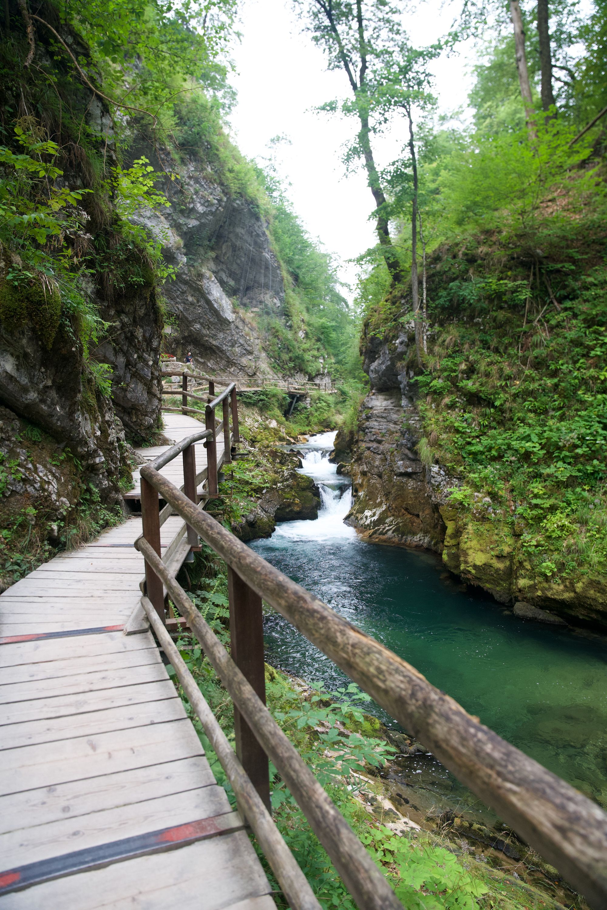 An Estonian in Slovenia